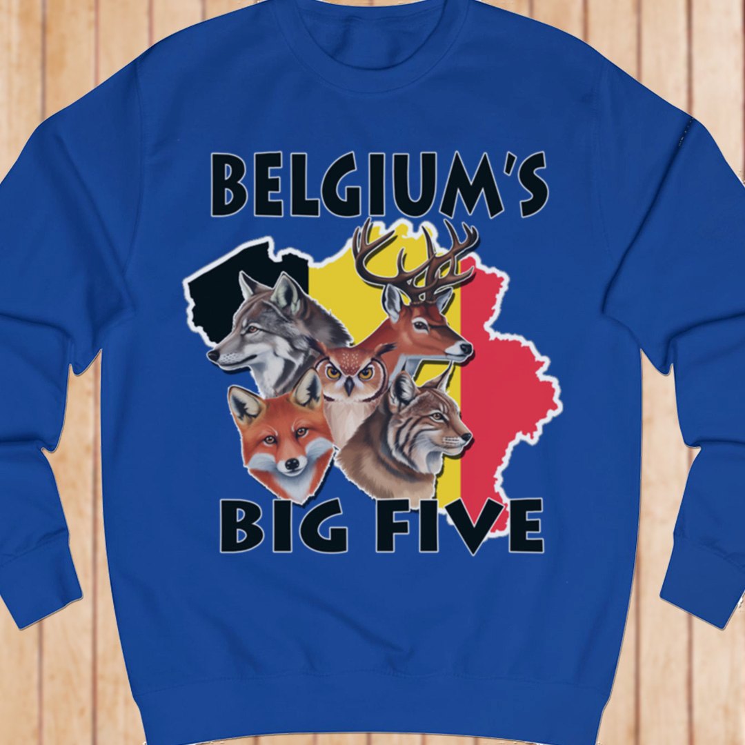 Belgium's Big Five sweatshirt