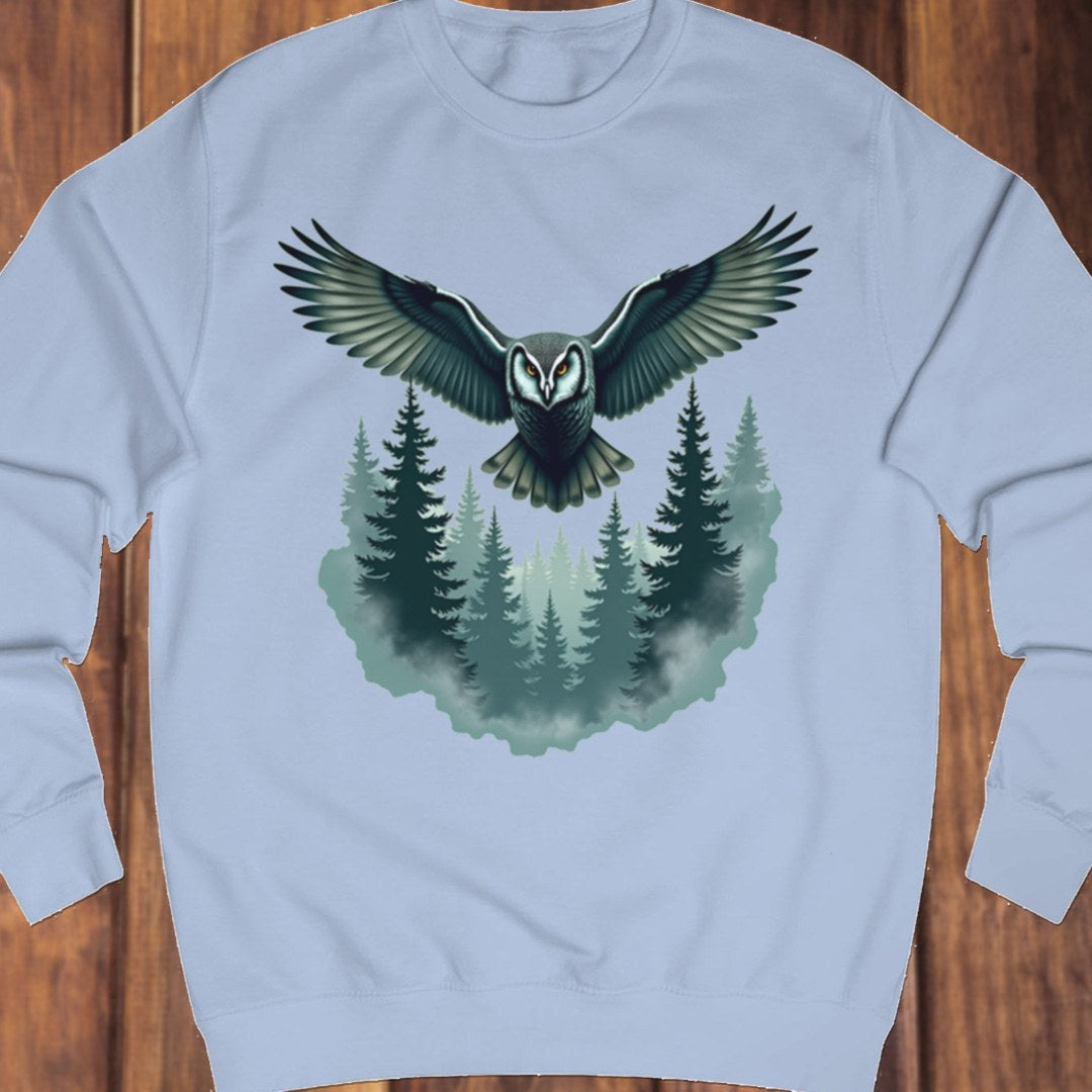 Mysterious owl sweatshirt