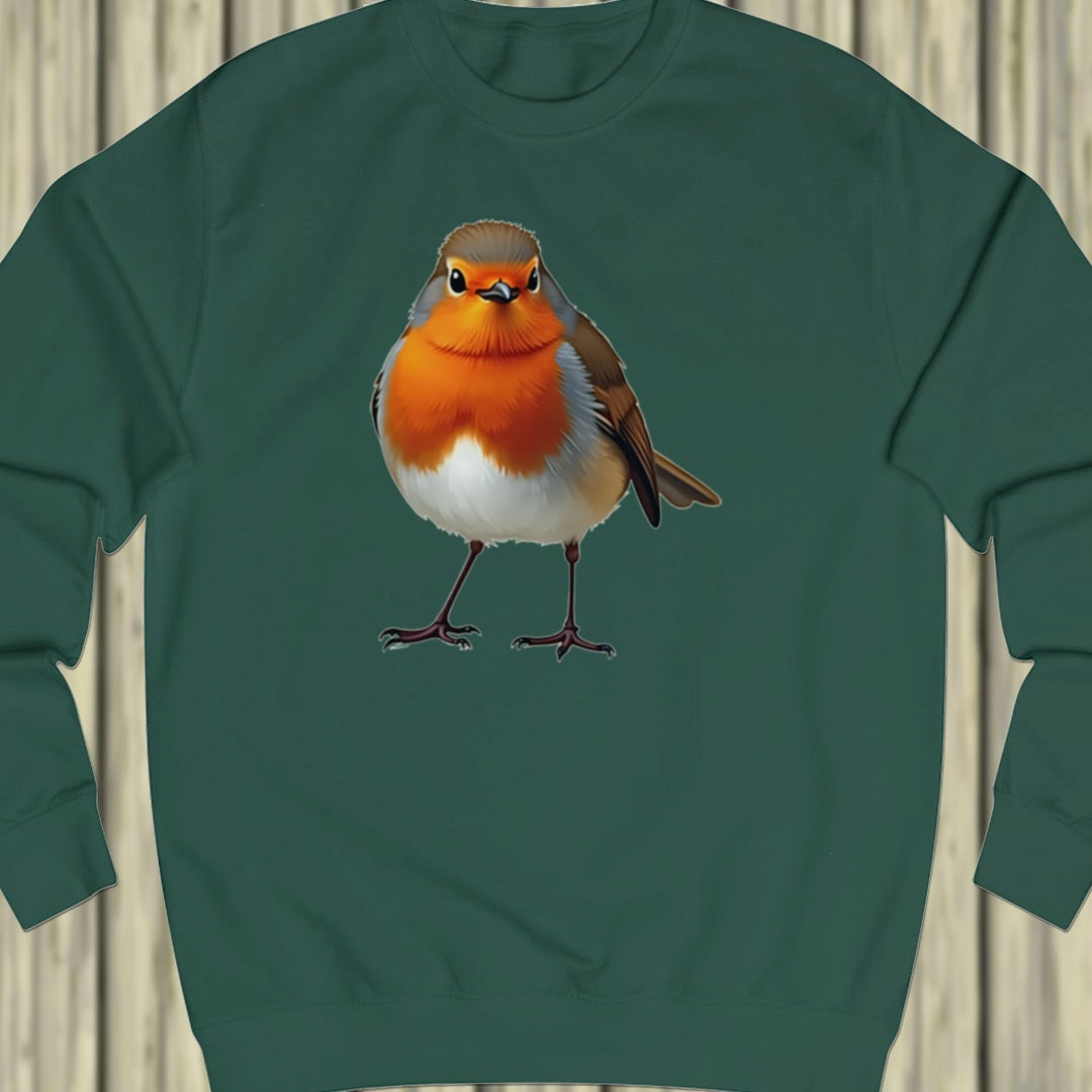 Robin sweatshirt