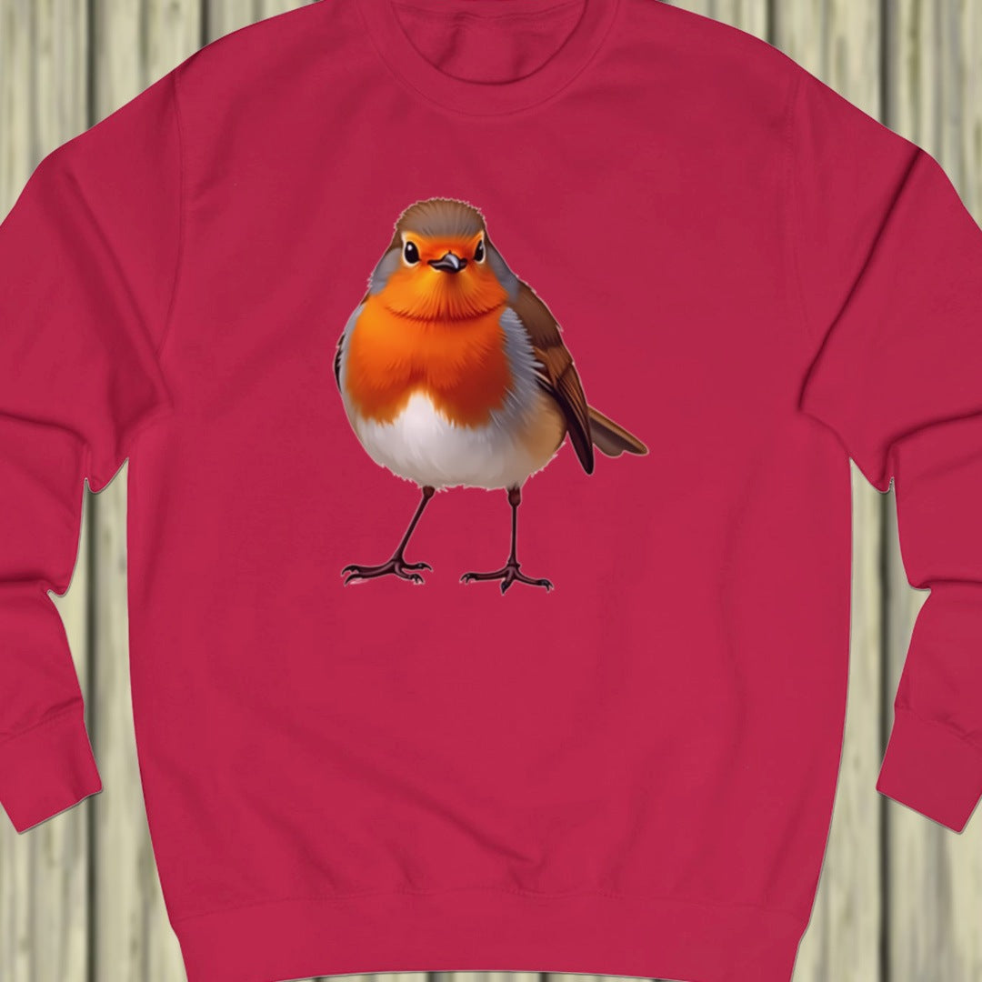 Robin sweatshirt