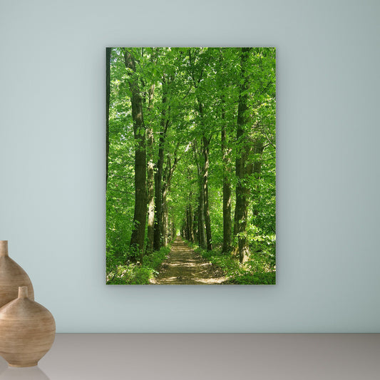 Tunnelvisie – Zomer & Winter