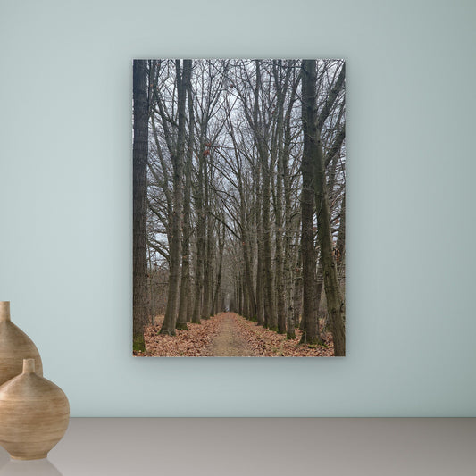 Tunnelvisie – Herfst & Winter