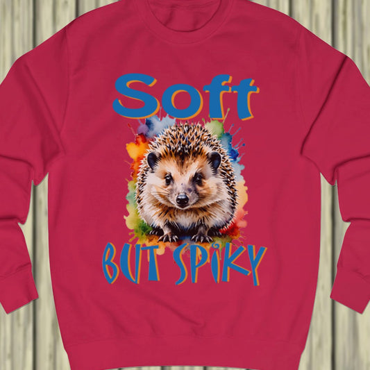 Soft but Spiky sweatshirt