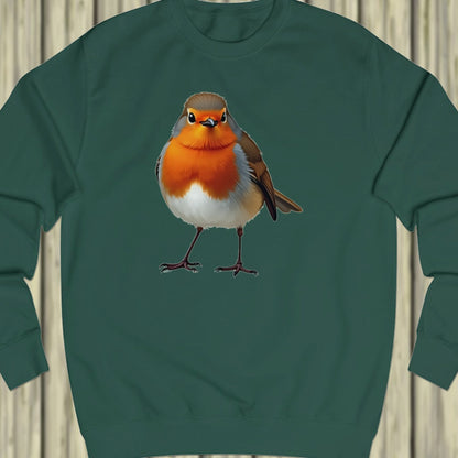 Robin sweatshirt
