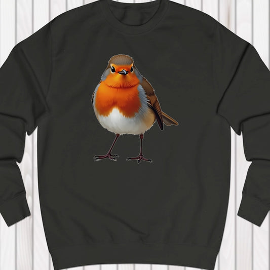 Robin sweatshirt
