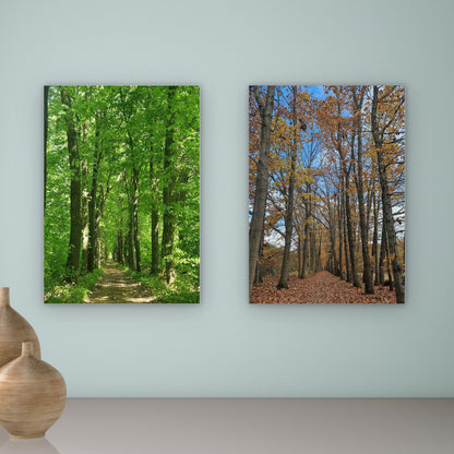 Tunnelvisie – Zomer & Herfst