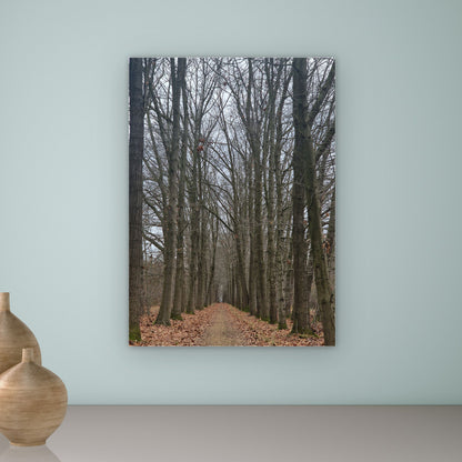 Tunnelvisie – Zomer, Herfst & Winter