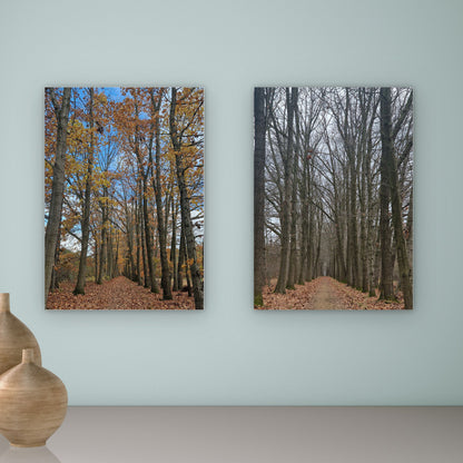 Tunnelvisie – Herfst & Winter