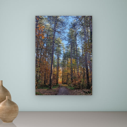 Herfstpad - Aluminium - 50 x 70 cm